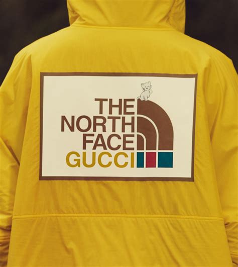 north.face x gucci|Gucci X north face tracksuit.